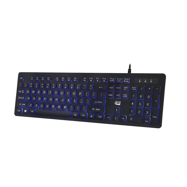 Adesso Large Print Illuminated Desktop Keyboard | AKB-139EB